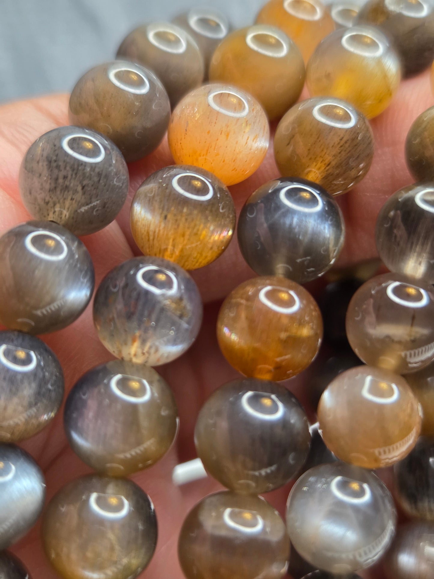 Golden Black Skeletal Moonstone