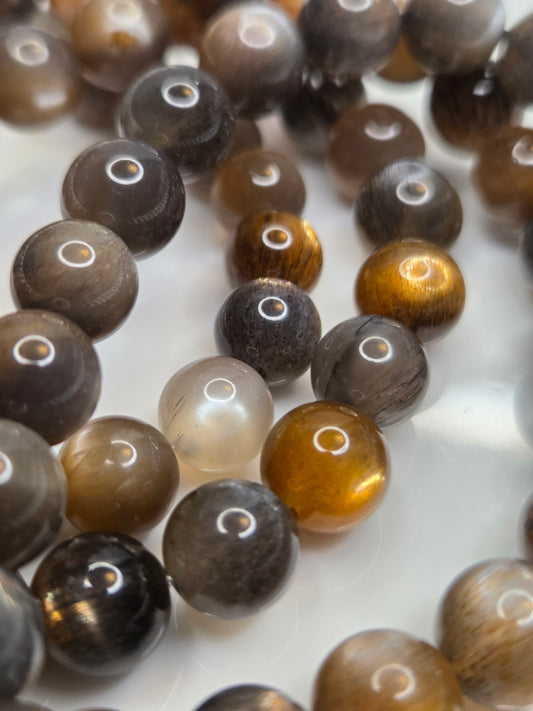 Golden Black Skeletal Moonstone