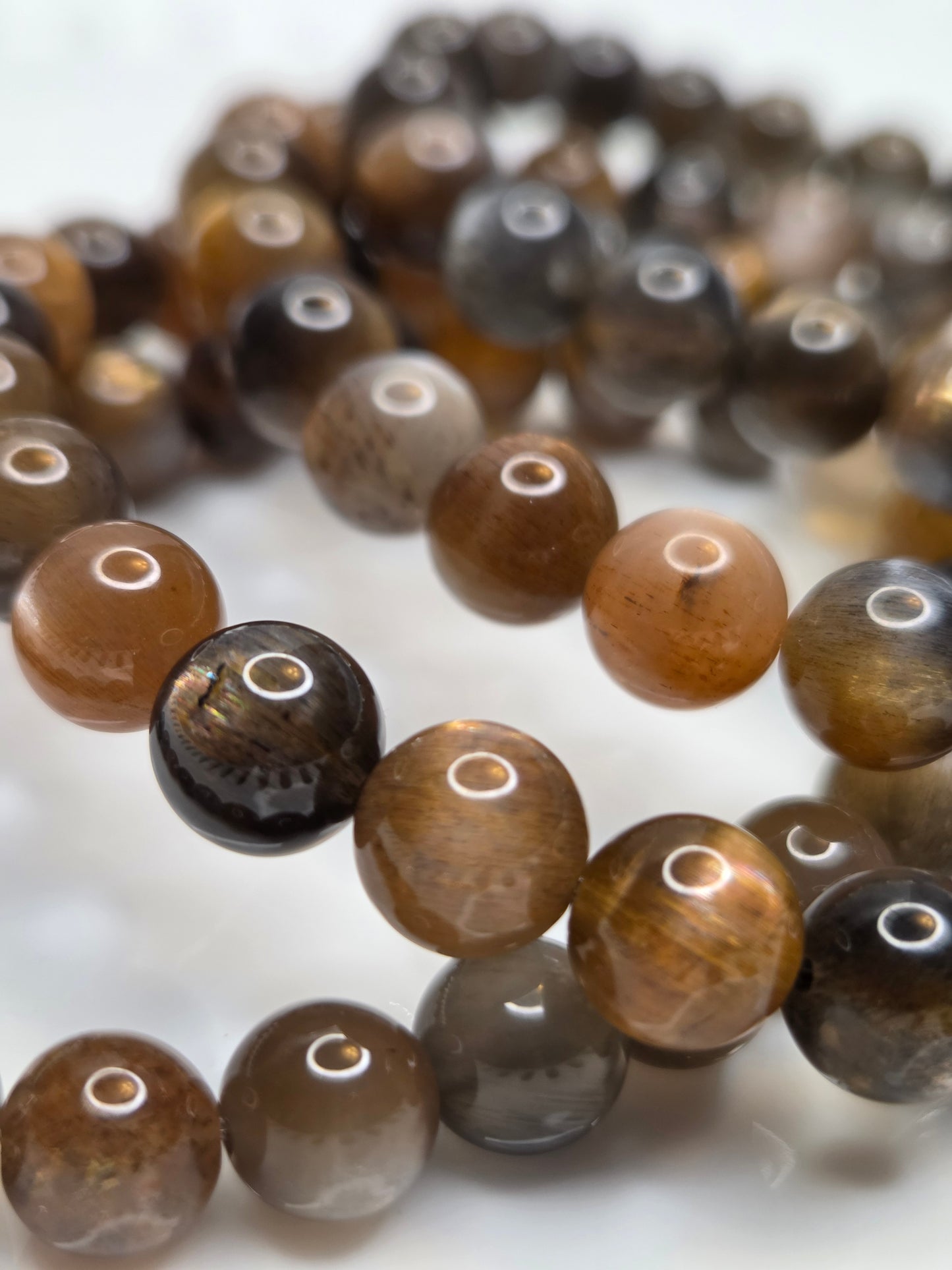 Golden Black Skeletal Moonstone